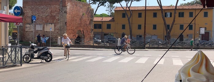 Bar San Domenico is one of Pisa.