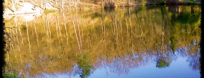 Lago della Villa is one of chekkinato.