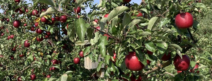 Owen Orchards is one of Upstate Fall.