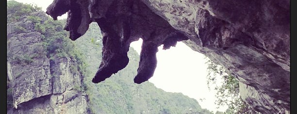 Hang Sửng Sốt (Surprising Cave) is one of Locais curtidos por David.