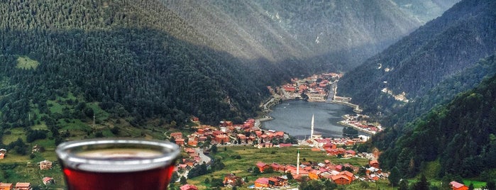 Galo Omad Çay Bahçesi is one of Trabzon-Rize.
