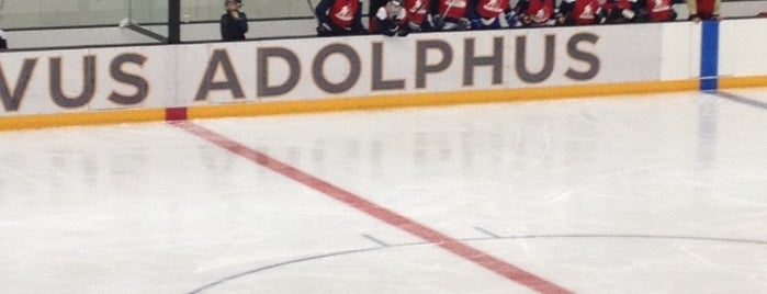 Lund Arena is one of Ice arena of Minnesota.