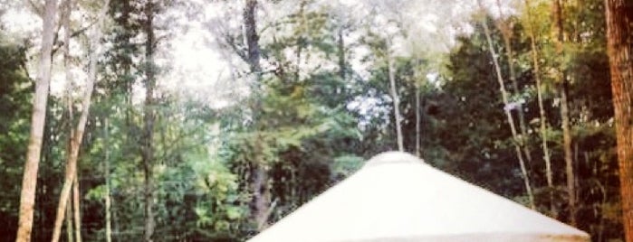 Maine Forest Yurts is one of Lieux qui ont plu à Josh.