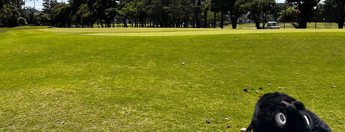 東宝調布ゴルフコース is one of Golf.