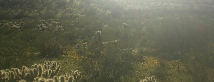 City Of Phoenix Sonoran Preserve Dixie Mountain Loop Trails is one of Tempat yang Disukai Brian.