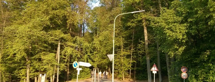 Kellerwald is one of Noch besuchen.