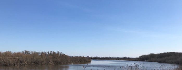 Семилуки is one of สถานที่ที่บันทึกไว้ของ Mirinha★.