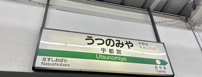 Platform 4 is one of 新幹線.