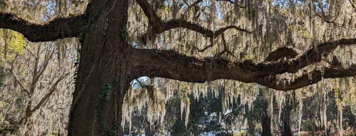 Middleton Place is one of East Coast Sites - U.S..