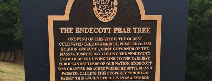 Endecott Pear Tree is one of Boston.