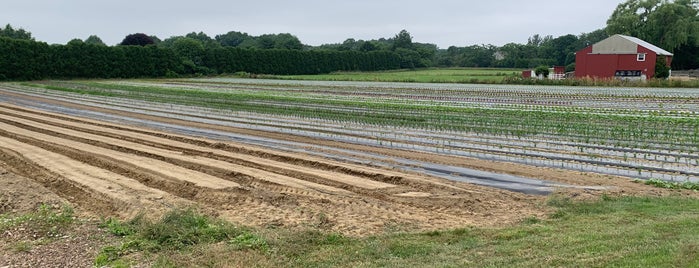Tendercrop Farm is one of Jimさんのお気に入りスポット.