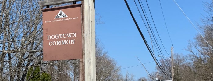 Dogtown Commons is one of New England Dog Friendly.