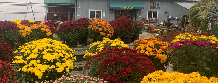 Evergreen Gardens is one of Vermont.