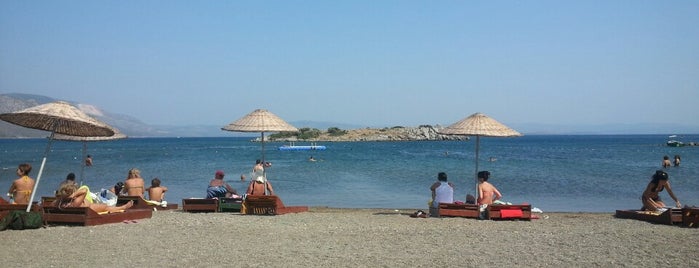 Mercankoy Beach is one of สถานที่ที่ GÖKH@N [A Rh+] ถูกใจ.