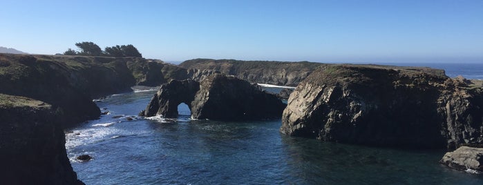 Mendocino Headlands State Park is one of Cali road trips.
