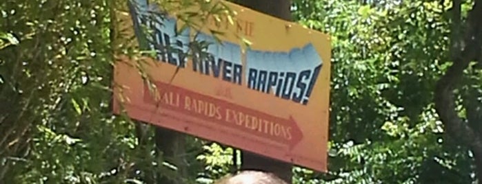Kali River Rapids is one of WdW Animal Kingdom.