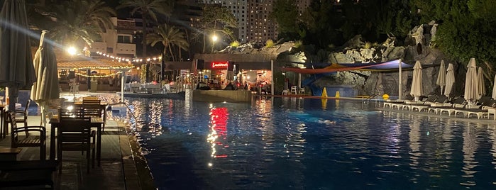Pool Bar is one of Dubai.