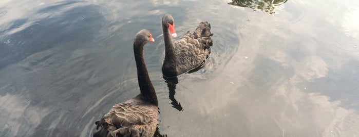 The Duck Pond is one of Gainesville, FL Favorites.