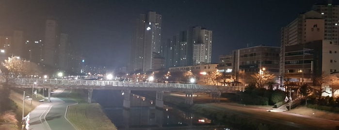 Oncheoncheon Stream is one of South Korea 🇰🇷.