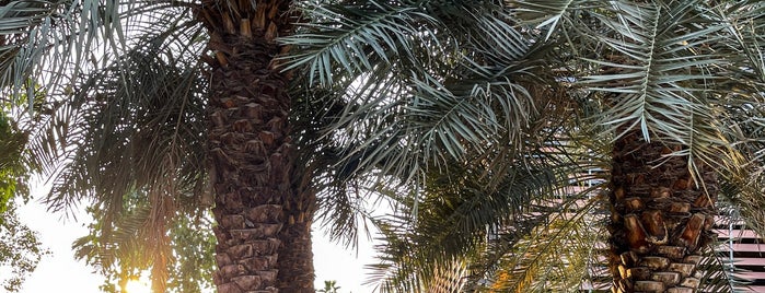 Saudi Tourism Authority (STA) is one of Tempat yang Disukai Dima.