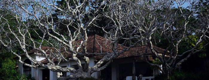 Lunuganga Estate is one of Tempat yang Disukai Gordon.