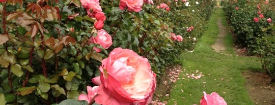 International Rose Test Garden is one of Portland, ECLIPSE STYLE.