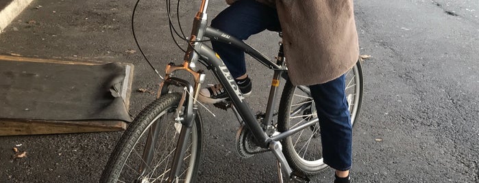 Bayshore Bike Rentals is one of Posti che sono piaciuti a Dan.
