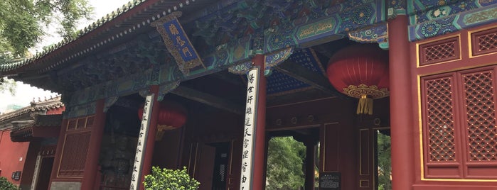Dongyue Temple is one of Lieux qui ont plu à Dhyani.