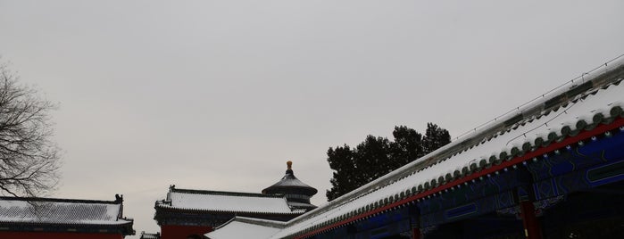 Tiantan Park is one of Lugares favoritos de Terence.