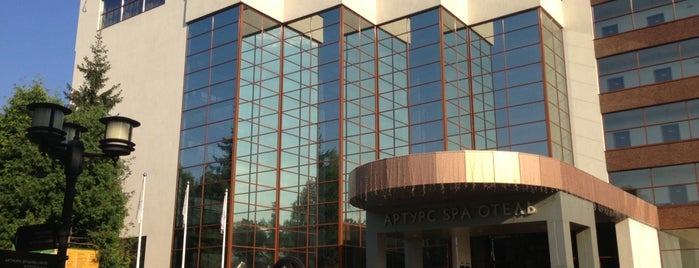 Arthurs Village & SPA Hotel is one of Alexandra🌟 : понравившиеся места.