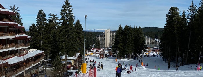 Hotel Musala is one of Hotels in Bulgaria.