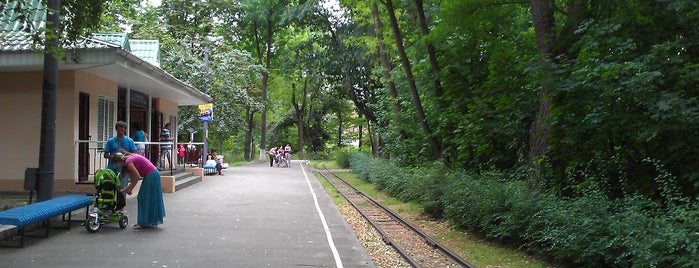 Сирецький парк is one of Posti che sono piaciuti a Mariya.