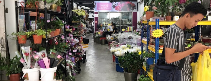 FloraLife is one of to buy cheap flower.