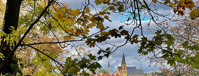 Karlachovy sady is one of Pražské parky.