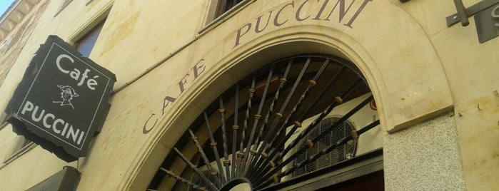 Bar Puccini is one of Salamanca Erasmus.