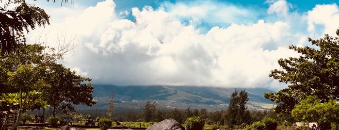 Mayon Volcano Natural Park is one of Jonjon 님이 좋아한 장소.