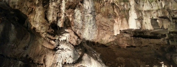 Howe Caverns is one of Catskill Adventure.