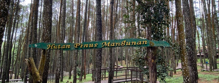 Hutan Pinus is one of Малайзия-Индонезия.