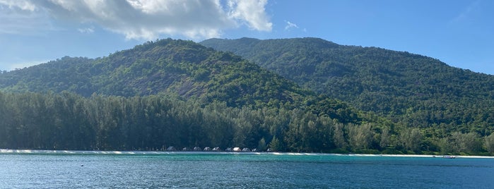 Adang Island is one of ตรัง, สตูล, ตะรุเตา, หลีเป๊ะ.