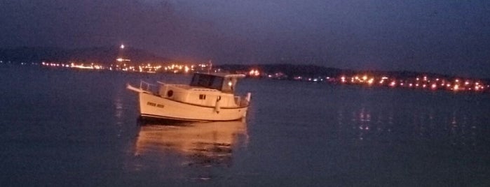 Galatalı Balık is one of Istanbul Seafood.