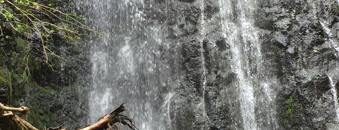Hamama Falls is one of Grandma's visit.