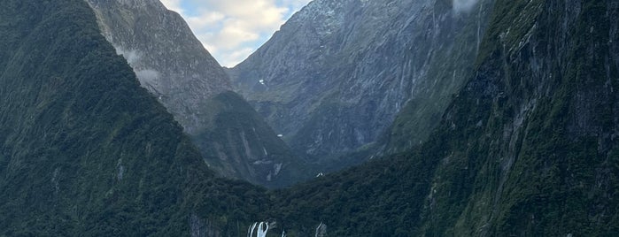 Milford Sound Cruise is one of New Zealand 2020.