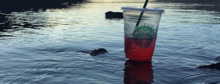 Starbucks is one of Must-visit Coffee Shops in Vancouver.