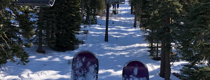 Backside Express is one of Tahoe.