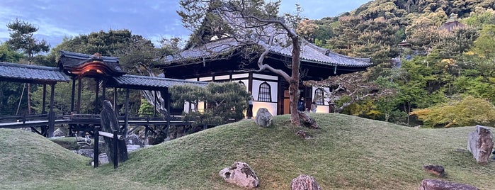圓徳院 is one of 京都エリア.