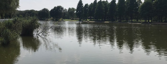 舎人公園 浮球の池 is one of ジャブジャブ池.