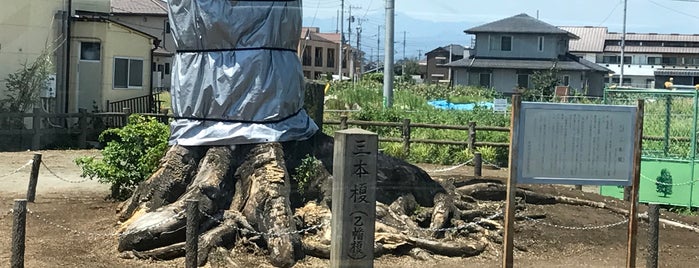 三本榎 is one of 甲州街道・青梅街道.