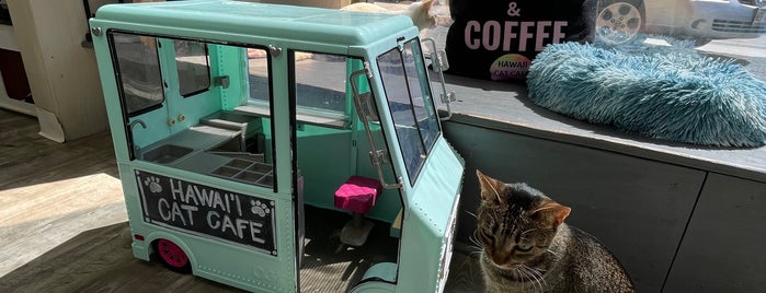 Hawaii Cat Cafe is one of Hawaii 2019.
