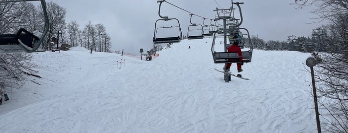 Caberfae Peaks Resort is one of Skiing.