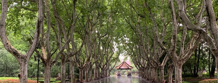 Xiangyang Park is one of Shanghai Public Parks.